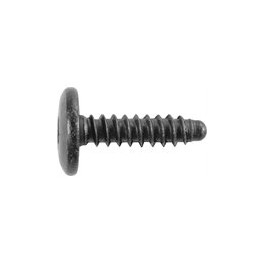 GM Tail Lamp & Interior Trim Screw 11611882, 10 pieces A247